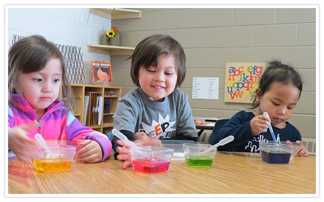 Diversity and Inclusion